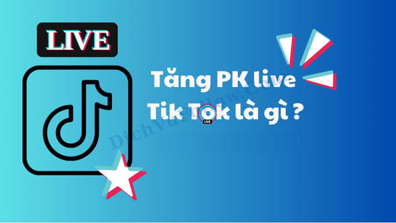 PK TikTok là gì và vì sao bạn nên quan tâm?