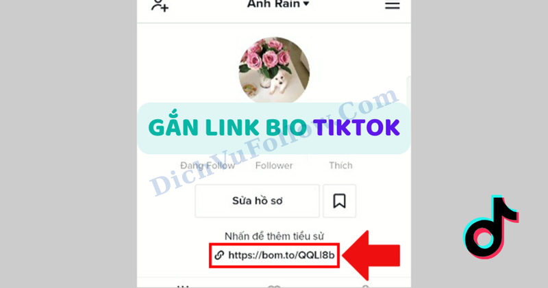 Lợi ích của việc gắn link bio trên TikTok