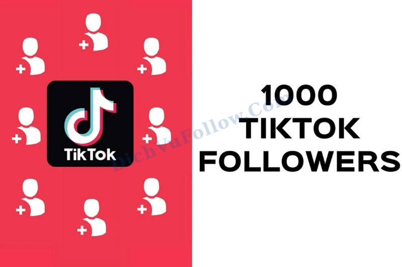 1000 follow TikTok bao nhiêu tiền?