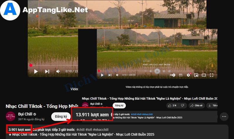 Lượt xem là chìa khóa mở ra cánh cửa thành công cho mọi video YouTube!