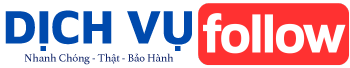 Dịch vụ follow