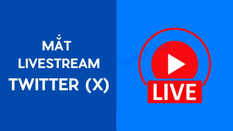 Tìm hiểu nhanh cách tăng mắt livestream nhanh chóng, hiệu quả