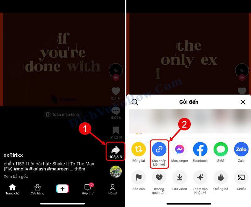 Sao chép link video tiktok