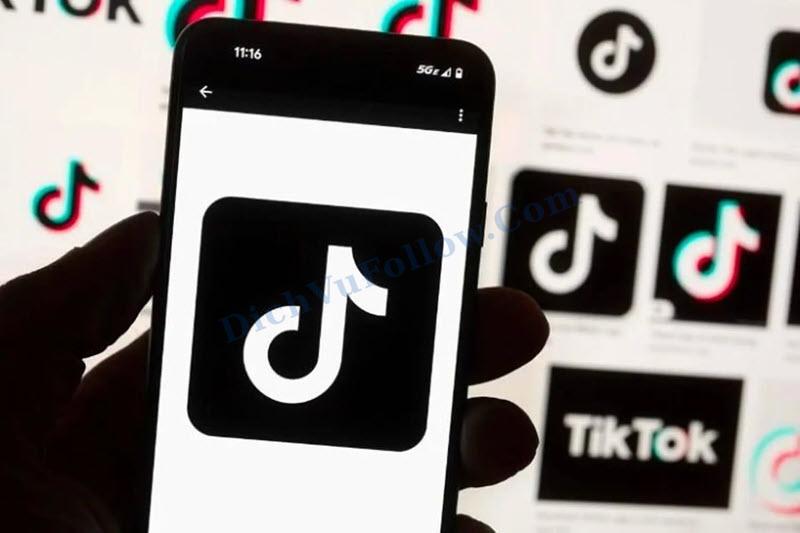 Mẹo Tối Ưu Video TikTok Sau Khi Seeding