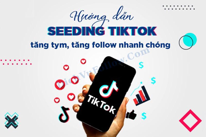 Tìm hiểu cách seeding tiktok hiệu quả, nhanh chóng
