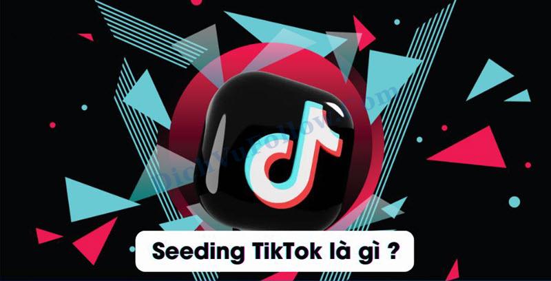Seeding Tiktok - Tăng tương tác nhanh chóng