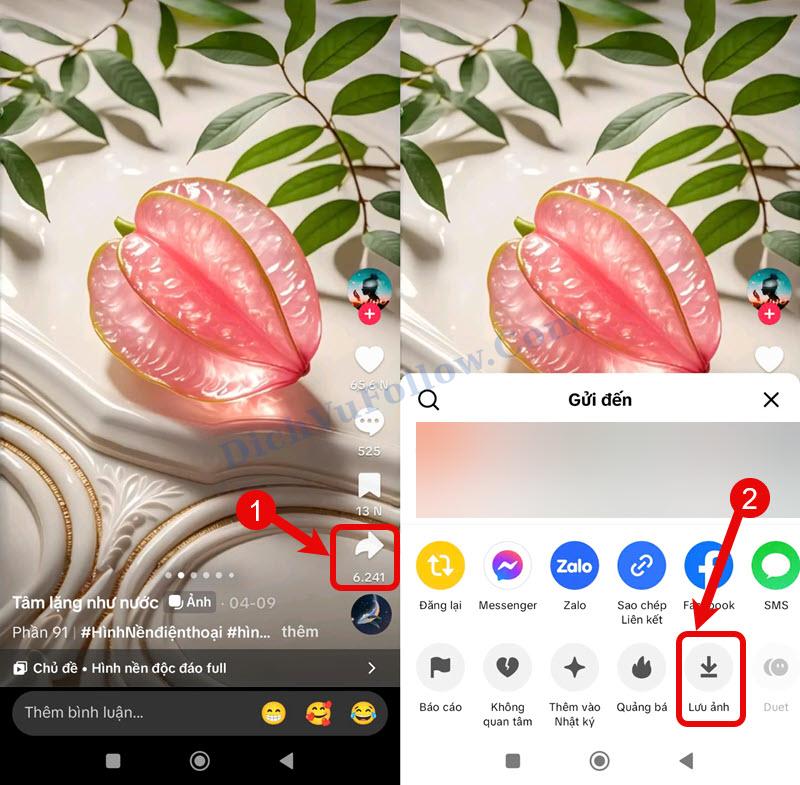 Lưu ảnh trên Tiktok cho Android
