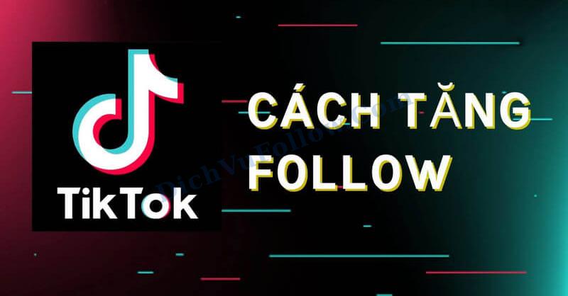 Tăng Follow TikTok Nhanh, Hiệu Quả