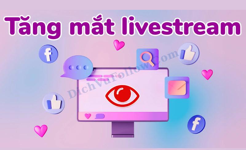 Tổng hợp các mẹo tăng mắt live hiệu quả