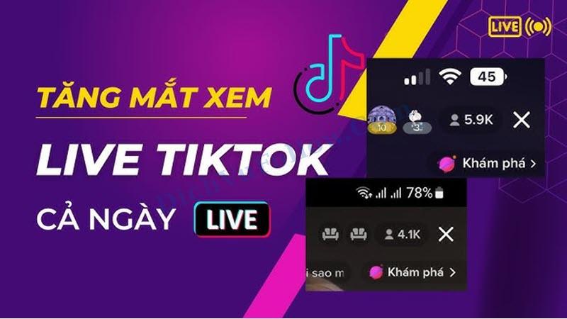 Các cách tăng mắt livestream TikTok miễn phí