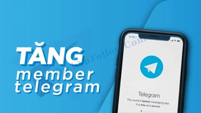 Lý do bạn nên tăng member nhóm Telegram ngay hôm nay