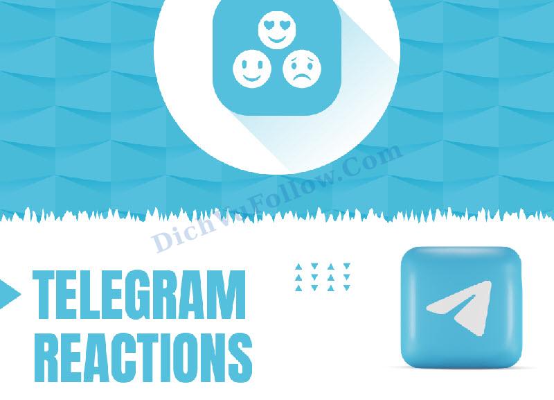 Lý do bạn cần tăng reaction Telegram ngay hôm nay
