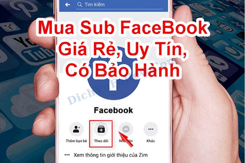 Tìm hiểu cách mua sub facebook đơn giản tại dichvufollow.com