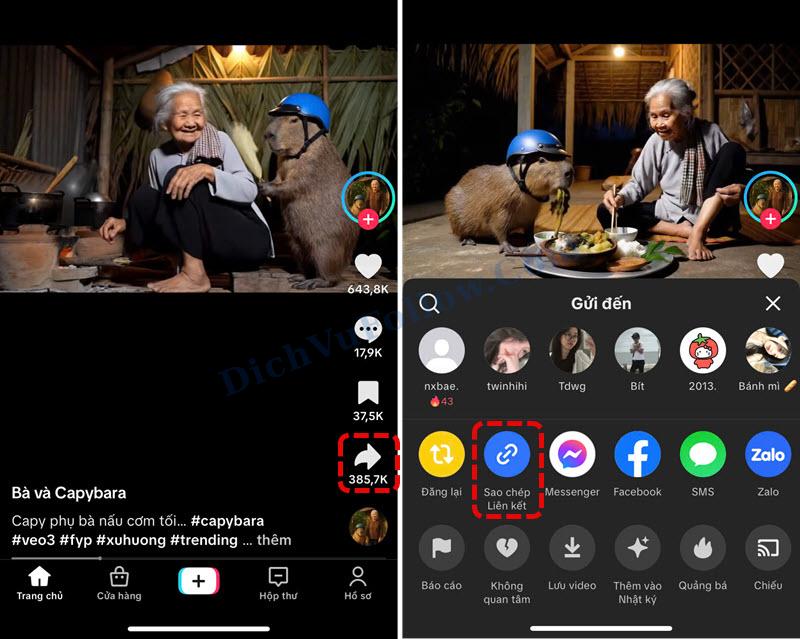 Chia Sẻ Link Video TikTok