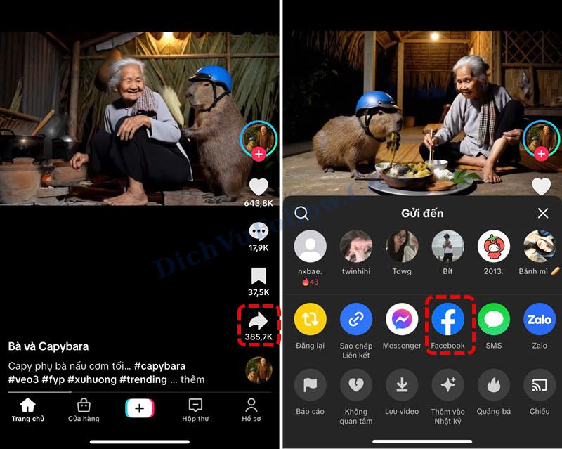Chia Sẻ Trực Tiếp Từ TikTok