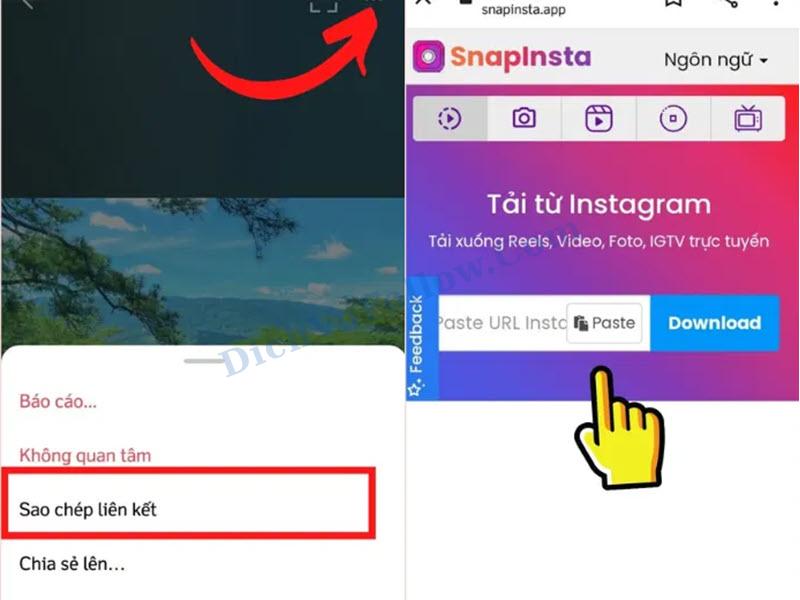 Sao chép và dán link vào website