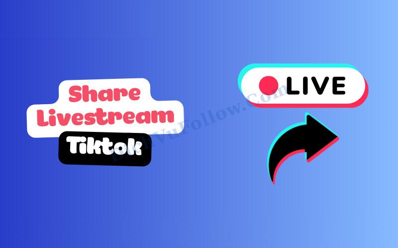 Mua share livestream Tiktok Uy Tín