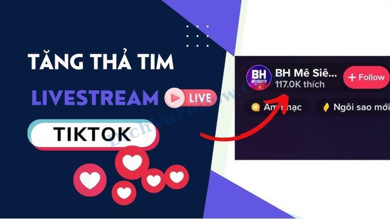 Dịch vụ tăng tim livestream tiktok nhanh chóng, giá rẻ