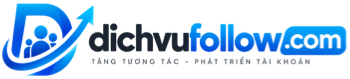 DichVuFollow.Com